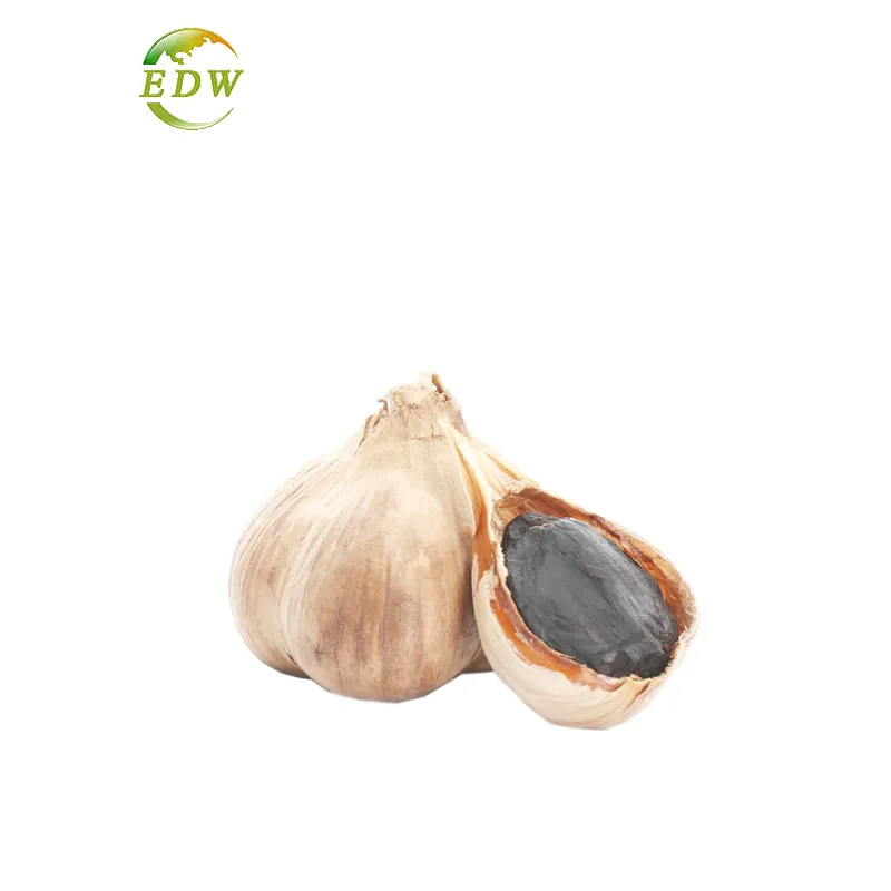 Fermented Black Garlic Powder Extract odorless Aged Black Garlic P.E For Health Care