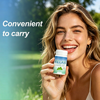 WELLBODY Menthe Sans Sucre Chewing-gum Relaxant Ashwagandha GABA Anti-stress Améliore l'Humeur Portable 60 Pièces Complément Alimentaire