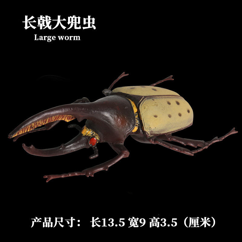 M-1149 Megalopolis longicornis [0.057kg]
