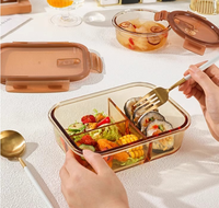 Bol en verre borosilicate transparent, durable, épais, idéal comme cadeau d'affaires, non toxique