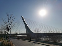 Pont en acier pour projet de transport de structure métallique courbée soudée à haute résistance et à faible teneur en carbone, fabriqué par un fabricant chinois