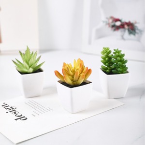 Plantes succulentes artificielles Fuyuji 8cm en PVC, mini-pot décoratif pour la maison, accessoires de mariage - Product Image 4