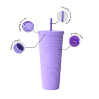 Gobelets cloutés populaires de 24oz Gobelets en plastique réutilisables pour le camping Gobelet à double paroi avec paille et couvercle