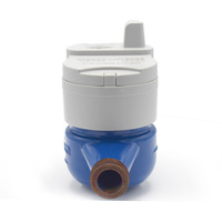 Compteur d'eau intelligent sans fil électronique NB-IOT LoRa LoRaWAN à lecture à distance et vanne contrôlée en plastique