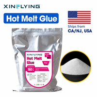 Poudre adhésive thermofusible TPU XinFlying DTF, sac de 1 kg, blanc, pour impression sur fibres/vêtements