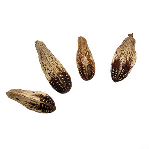 Großhandel Birdstory Averrhoa-Frucht (Karambola) Haustier-Lieblings-Interaktives Essbares Trockenfrucht-Spielzeug für Papageien Innen-/Außenbereich - Product Image 3