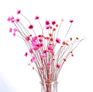 12Pcs Dried Flower Bouquets Natural Long Lasting Realistic Colorful Dried  Gypsophila Flower for Wedding 