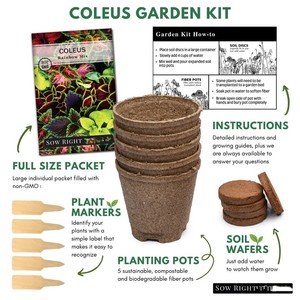Kit de démarrage Coleus avec terreau dans les noix de coco Kit de démarrage de jardin d'herbes d'intérieur <span class=keywords><strong>basilic</strong></span> menthe coriande - Product Image 5