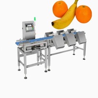 Sorteermachine Automatische sorteermachine Intelligente sorteermachine Fruit sorteermachine Sorteerlijn Gewichts sorteermachine
