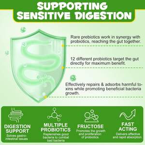 Suplemento Probiótico en Polvo para Mascotas ODM/OEM, Salud Digestiva para Perros, Apoyo para el Intestino - Product Image 3