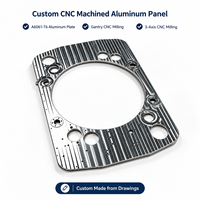 Panneau en aluminium 6061-T6 usiné CNC sur mesure avec découpe centrale et caractéristiques usinées par portique