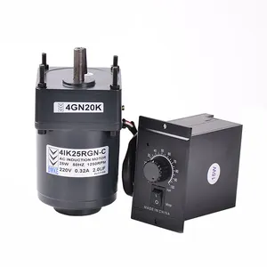 AC220V 25W Single Phase Low Rpm Induction Electric Ac Gear Motor Reductor And Speed Controller