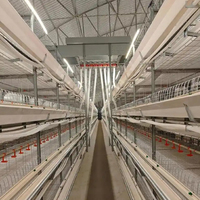 Projet clé en main personnalisé pour 30 000 poulets reproducteurs, aménagement ajustable de la poulailler, élevage avicole entièrement automatique
