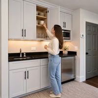 Gabinetes de Cocina Modulares Modernos de Lujo con Correderas de Cajones de Madera, Bisagras y Accesorios Ecológicos para Salpicaderos, Ideales para Villas
