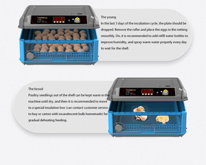 Goldfinch trứng lồng ấp cho nở chim Hoàng Yến với mức giá tuyệt vời - Product Image 5