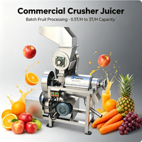 Industriële roestvrijstalen sapcentrifuge met hoge productiviteit voor ananas, sinaasappel en citroen, schroefpers voor fruitverwerking