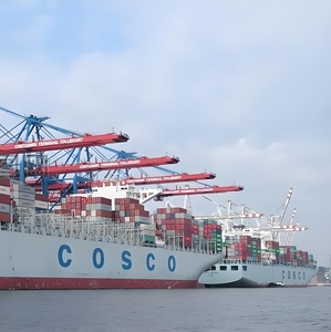 Spedizioniere Marittimo FCL e LCL dalla Cina al Paraguay, Agente di Spedizione e Logistica per Ciudad Del <span class=keywords><strong>Este</strong></span> ed Encarnación - Product Image 6