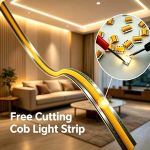 Bande <span class=keywords><strong>LED</strong></span> COB 24V de qualité résidentielle, 480 <span class=keywords><strong>LED</strong></span>/m, découpe libre n'importe où, <span class=keywords><strong>ruban</strong></span> lumineux flexible FCOB, CE UKCA <span class=keywords><strong>pour</strong></span> vitrine de bijouterie - Product Image 1