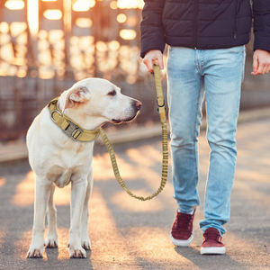 <span class=keywords><strong>Laisse</strong></span> de Dressage Double Poignée Haute Qualité pour Chiens Moyens <span class=keywords><strong>et</strong></span> Grands avec Boucle de Siège Auto, Ensemble <span class=keywords><strong>Laisse</strong></span> <span class=keywords><strong>et</strong></span> Collier Tactique pour <span class=keywords><strong>Chien</strong></span> - Product Image 3