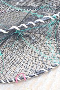 Nouvelles cages pliables australiennes de haute qualité pour crabes et écrevisses, avec quatre filets importés - Product Image 4