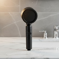 Pommeau de Douche Moderne Haute Pression Plaqué avec Filtre à Eau, 3 Modes, Tête de Douche Lotus en ABS, Ensemble de Douche Pluie pour Salle de Bain