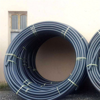 Pn25 Pn20 Pn16 Pn10 Pn6 Sdr 7 Sdr 9 Sdr 11 25mm 50mm Pn1.6mpa Ligne Bleue Poly Tuyau Tuyau D'irrigation De Jardin Tuyau Hdpe