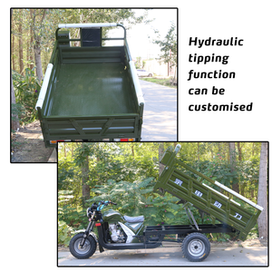 Tricycle Robuste Aboboyaa de Ferme 2000 kg avec Moteur Tricycle <span class=keywords><strong>Moto</strong></span> Refroidi par Eau 250CC 300cc - Product Image 6