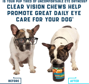 Personnalisation OEM/ODM : Complément alimentaire liquide pour animaux de compagnie, huile de saumon sauvage d'Alaska 100 % pure pour chiens et chats, avec huile de saumon, oméga-3, DHA et DHA. - Product Image 3
