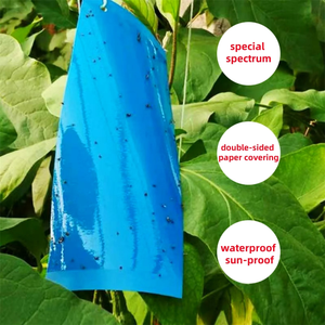 Trampa Adhesiva <span class=keywords><strong>para</strong></span> Insectos Voladores de Doble Cara <span class=keywords><strong>para</strong></span> Interiores, Exteriores, Granjas, Jardines, Invernaderos y Huertos - Product Image 5