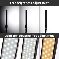 Kit d'éclairage vidéo bi-LED dimmable, équipement de studio photographique avec trépied, sac pour la production vidéo YouTube