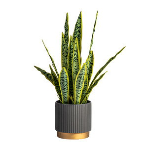 Planta Artificial <span class=keywords><strong>Sansevieria</strong></span> Hupilan <span class=keywords><strong>en</strong></span> Maceta, Bonsái Verde Biónico para Decoración de Sala de Estar - Product Image 5