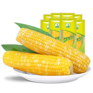 Healthy Non-GMO Waxy Corn Snacks Fresh Style for Baby