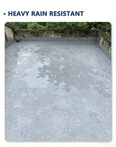Revêtement de toiture en <span class=keywords><strong>caoutchouc</strong></span> MANZZ, imperméable, haute flexibilité, peinture acrylique liquide <span class=keywords><strong>pour</strong></span> la rénovation des toitures - Product Image 4