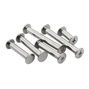 Customized Available Stainless Steel Brass Carbon Steel Binding Screw Sex Bolt