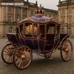 Chariot de mariage Royal Cendrillon personnalisé avec climatisation et éclairage LED – Grande Vente - Product Image 2