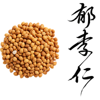 Prunus Humilis Biologique en Gros pour le Confort Digestif et la Régulation du Qi – Remède Herbal Naturel