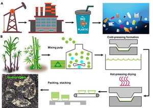 Fully Automatic Dona Paper Plate Making Machine PLC Program Control Pump Bearing Motor Engine 380V 500kg/<strong>day</strong> - Product Image 6