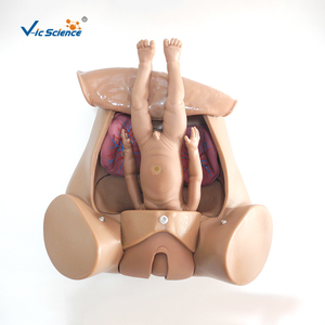 Manichino Avanzato per Addestramento alle Abilità di Parto, Modello per Simulazione di Parto Naturale di Donne in Gravidanza, in PVC, Marca VIC SCIENCE - Product Image 4