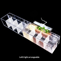 Aquarium d'isolement pour poissons Betta en acrylique, multi-compartiments, pompe à eau, filtre, pas de changement d'eau requis
