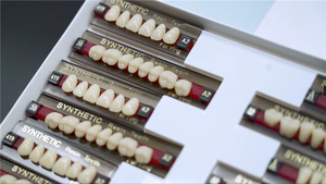 2 Schichten 3-lagige künstliche Acryl harz zähne Factory False Tooth - Product Image 4