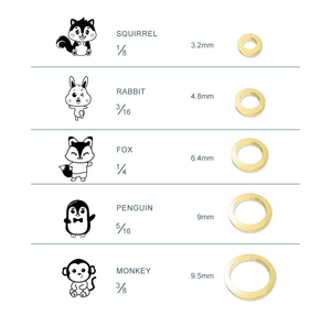 Dents orthodontiques dentaires Bretelles en caoutchouc bandes médicales Attache élastique Zoo Park Dentaire Non Latex Élastique Élastique en caoutchouc - Product Image 2