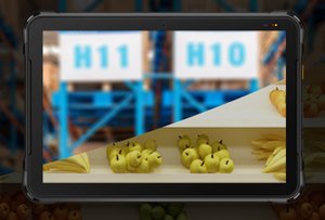 Chureluvo — tablette industrielle robuste <span class=keywords><strong>P8100P</strong></span>, Android 10, déverrouillage, PC, terminal de données - Product Image 5