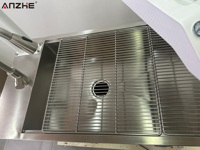 Unité de Traitement Dentaire Vétérinaire Professionnelle avec Lampe LED Papillon pour Blanchiment, Compresseur d'Air Sans Huile et Poste de Travail en Acier Inoxydable