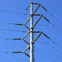 Tour monopôle en acier Q355B galvanisé à chaud 110 kV double circuit OEM pour ligne de transmission d'énergie