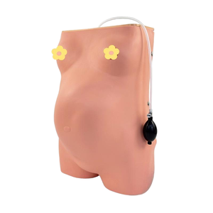 Obstetrik eğitim için tıbbi Model beyin bilgisayarlı hamile kadın muayene modeli - Product Image 4