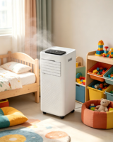 Climatiseur portable efficace et multifonctionnel, fabriqué en Chine