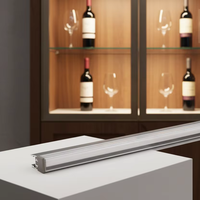 Lampes LED pour armoire en aluminium de 8 mm avec couvercle transparent, effet d'étagère flottante, utilisation domestique, OEM ODM YB2004-25