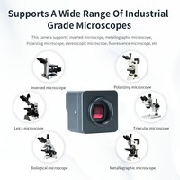 Factory Supply Factory Lightweight Mini Microscope Camera Driver-free for School Education Science Lab