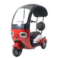 Tricycle électrique avec toit, cyclomoteur, tricycle électrique