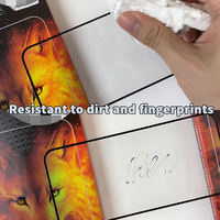 Pelindung Layar Kaca Tempered Anti-Statik Fire Wolf untuk iPhone 11 12 13 14 15 Pro Max 16 17 Air